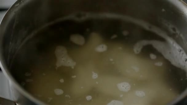 Пельмени Бросают Кастрюлю Кипящей Водой Приготовления Пищи — стоковое видео