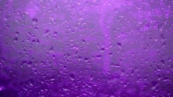 Yağmurda Damlayan Cam Mor Arka Plan Işığı — Stok video