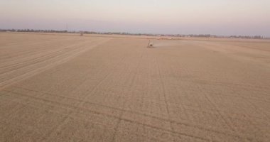 Gün batımında deniz kenarında buğday biçen uçağın üstünde.