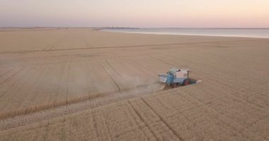 Gün batımında büyük ekin biçme buğdayı