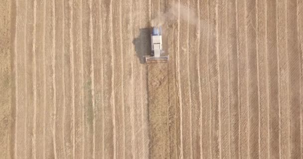 Luchtfoto Van Maaimachine Die Oogst Maait — Stockvideo