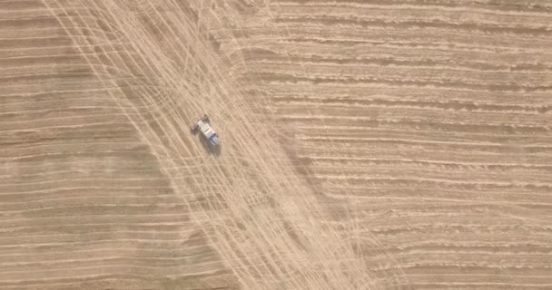 高いところから最後の小麦を刈る収穫者の眺め — ストック動画