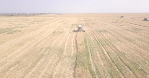 Sekačky na pšeničná pole kombinují v létě