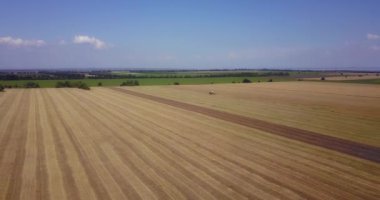İnsansız hava aracı büyük tarlalarda uçuyor ve yazın çalışıyor.