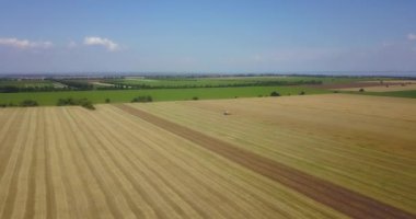 Yazın büyük tarlaların üzerinde çalışan bir işçiyle uçmak.