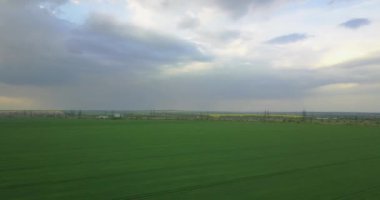 Uçuştan sonra büyük yeşil bir buğday tarlası