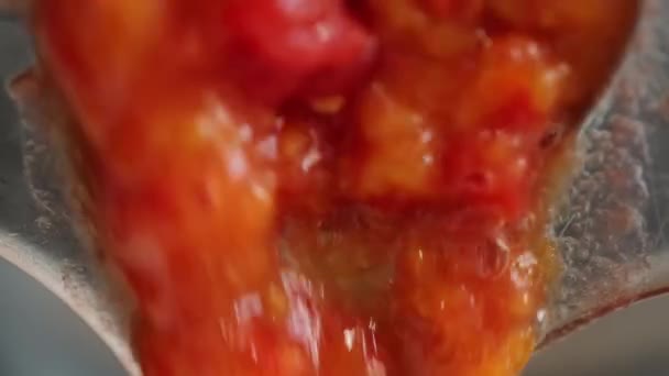 Tomater Förädlas Till Välsmakande Och Hälsosam Tomatjuice Juiceapparat Hemma Tomatjuice — Stockvideo