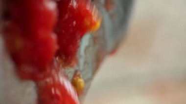 Domatesler evdeki meyve sıkacağında lezzetli ve sağlıklı domates suyuna dönüştürülür. Domates suyu. Cesedin oksijensizleştirilmesi. Yakından bak