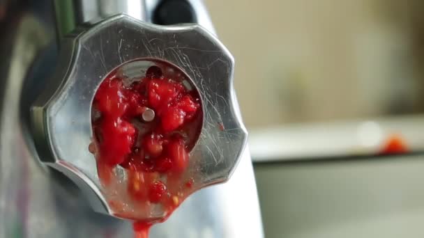 Domatesler Evdeki Meyve Sıkacağında Domates Suyuna Dönüştürülüyor Domates Suyu Detoksifikasyon — Stok video