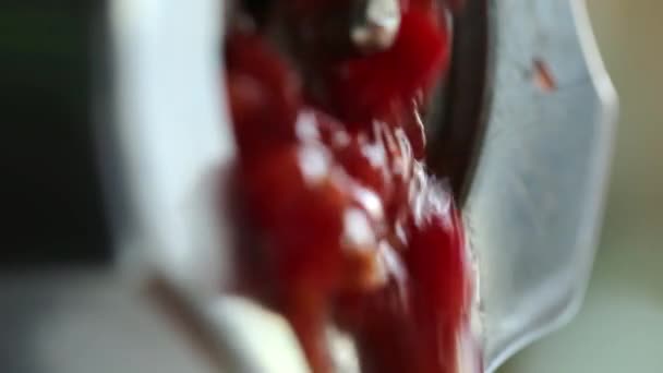 Los Tomates Transforman Jugo Tomate Exprimidor — Vídeos de Stock