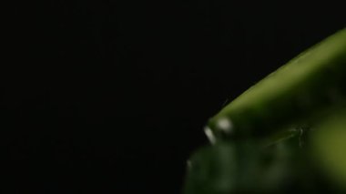 Dilimlenmiş yeşil salatalıklar sağdaki siyah arka planda dönerler.