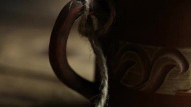 Kahverengi bardakta kahve, çikolatalı zencefilli kurabiyeler, ahşap bir masanın üstünde.