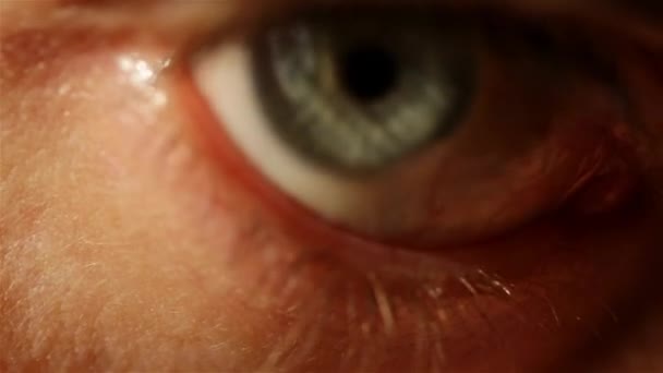 Männliches Graublaues Auge Mit Roten Gefäßen Nahaufnahme — Stockvideo
