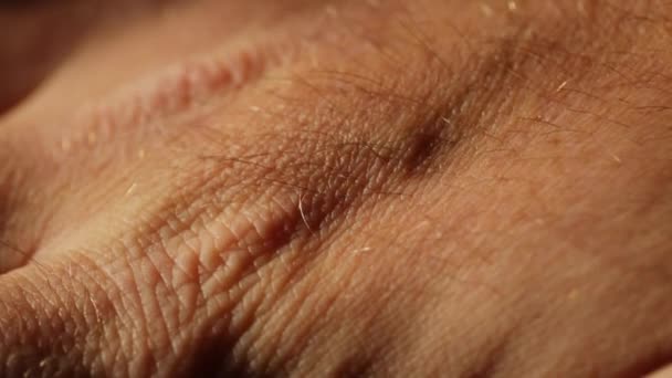 Ζαρωμένο Δέρμα Ενός Ανθρώπου Χέρι Και Κίνηση Των Δακτύλων — Αρχείο Βίντεο