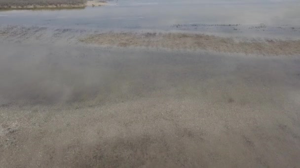 Penerbangan Cepat Atas Air Musim Gugur — Stok Video
