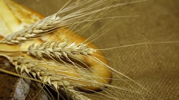 Different Rolls Fresh Bread Food Ears Wheat — Stock Video