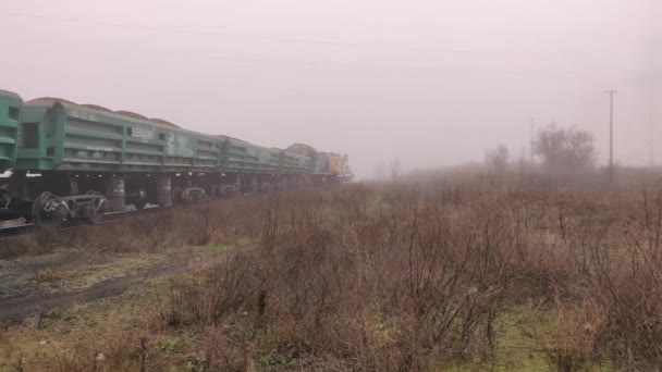 Τρένο Βόλτες Ένα Παλιό Σιδηρόδρομο Ομιχλώδη Ημέρα — Αρχείο Βίντεο
