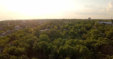 Yeşil şehrin üzerinde uçuyor