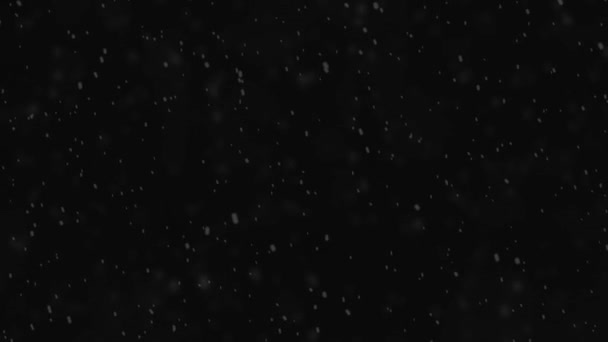 Sníh Černém Pozadí Zimě Noci — Stock video