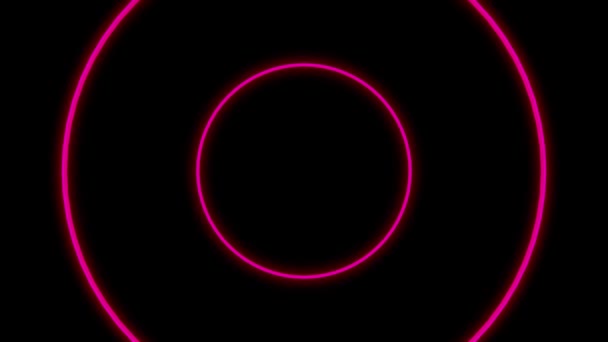 霓虹灯粉色的圆圈长在黑色的背景上 — 图库视频影像