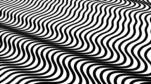 Białe Tło Rozmytymi Czarnymi Liniami Poruszającymi Się Falami Abstrakcja — Wideo stockowe