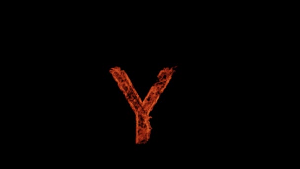 Capital Letter Burns Fire Black Background Letter Burns — Stockvideo