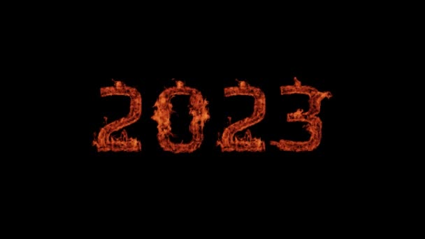 New Year 2023 Fire 2023 Fire Date 2023 New Year — Stockvideo