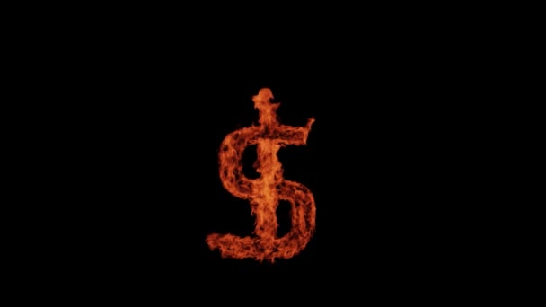 Fire Sign Fire Dollar Fire Money Fire Black Background Fire — Vídeos de Stock