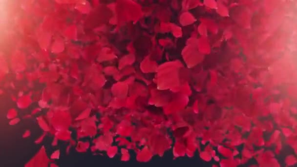 Explosion Rose Petals Black Background Word Valentines Day Rose Petals — стоковое видео