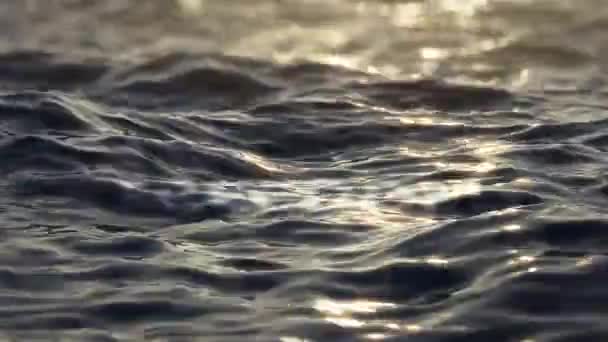 Word Freedom Water Sunset Word Underwater — ストック動画