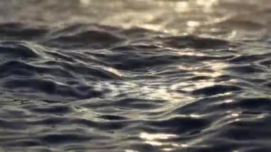 Word ECOLOGY in water at sunset, word underwater