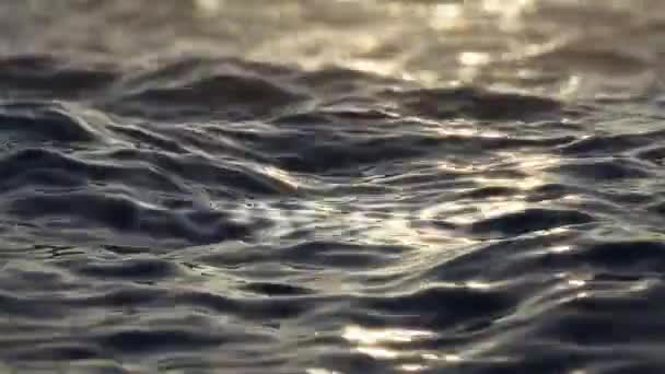 Слово Екологія Воді Заході Сонця Слово Під Водою — стокове відео