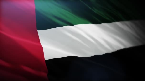 Waving Flag Saudi Arabia Dubai Middle East — Stock Video