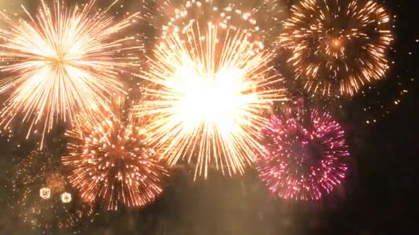 New Year 2023 Fireworks Holiday Fireworks Festive Fireworks — Vídeos de Stock