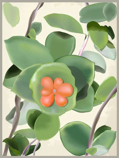 Открытка с диким цветком. Иллюстрация кёрлинга растения . — стоковый вектор