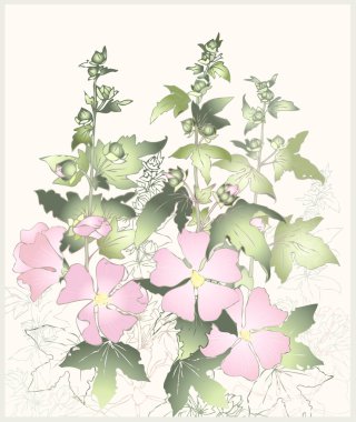 pembe çiçekler ebegümeci yeşil yaprakları ile. mallow tebrik kartı.