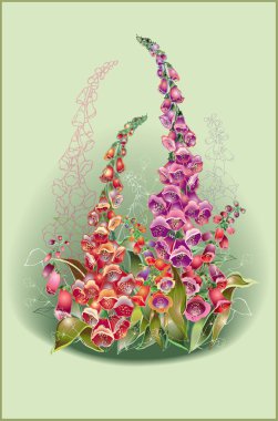 bir yüksükotu ile tebrik kartı. resimde foxglove.