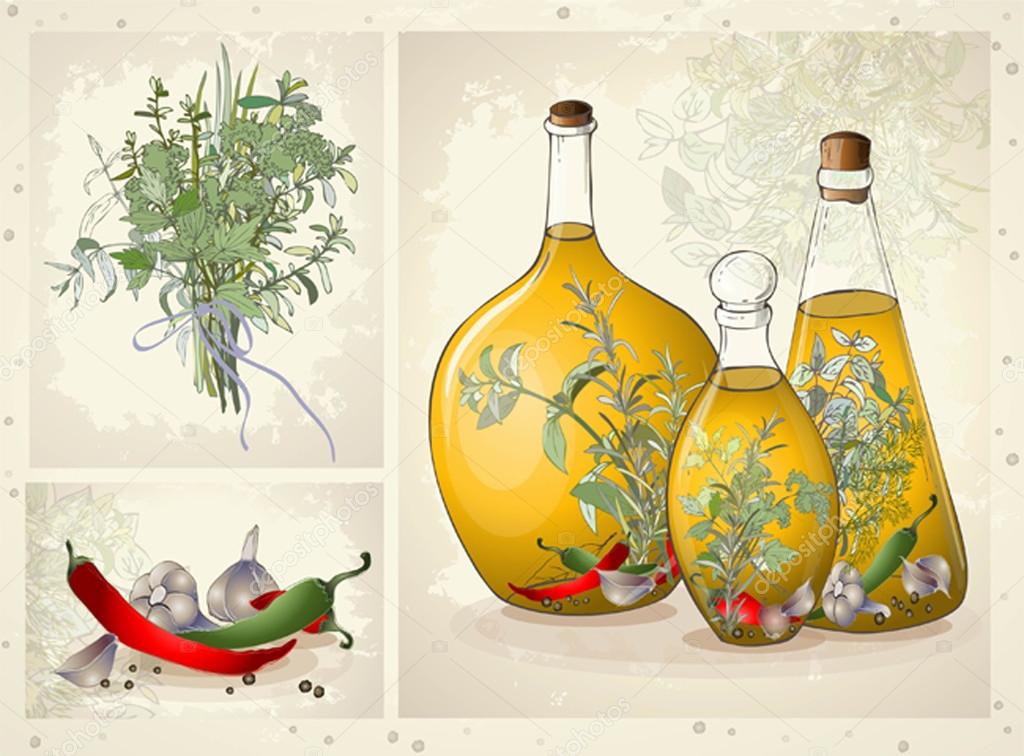 Illustration of spices, spicy herbs, olive oil.