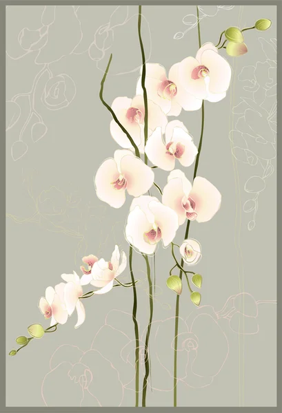 Wenskaart met orchidee. afbeelding orhid. — Stockvector