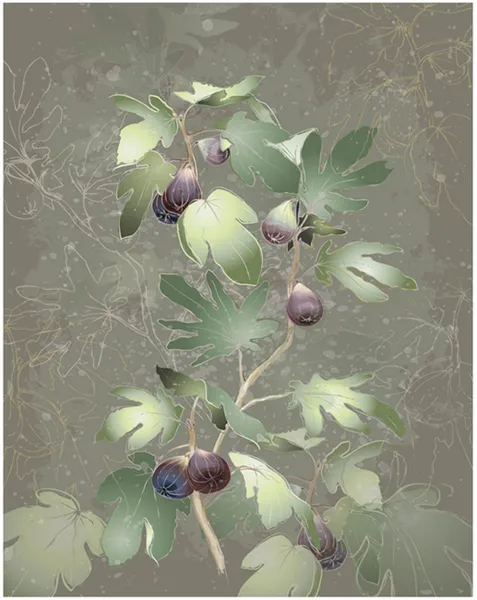 Detailed image of a bunch of figs on a tree. Figs in a fig tree. — Stock Illustration Detailed image of a bunch of figs on a tree. Figs in a fig tree. Stock Illustration