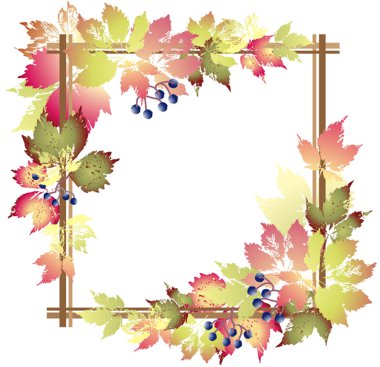 yabani üzüm ile tebrik kartı. vahşi g ile dekoratif çerçeve