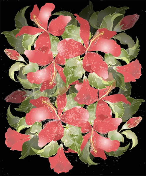 Hibiscus, üdvözlőlap. illusztráció hibiszkusz. — Stock Vector