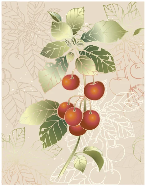 Ilustración cereza. Hermosa tarjeta decorativa con cereza . — Vector de stock