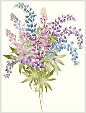 Background from flower of the lupine . Bouquet from a lupine flo clipart