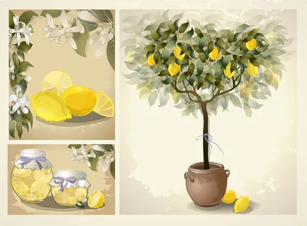 Tree illustration with lemon fruits. Jam fruit. Preserved fruits — Stock Vector