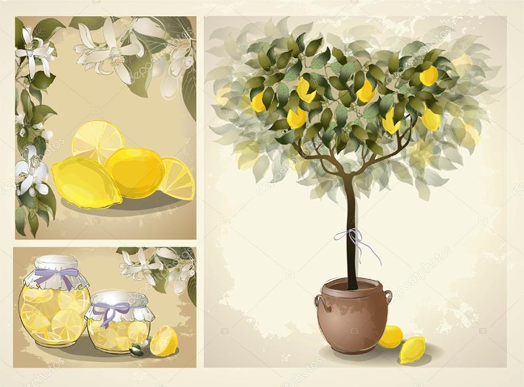 Tree illustration with lemon fruits. Jam fruit. Preserved fruits