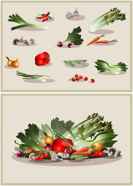Ilustración de verduras frescas. Icono . Ilustración de stock