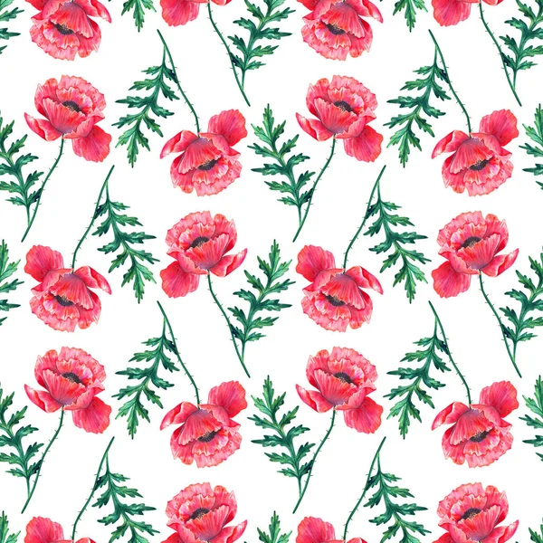 붉은 양귀비 꽃이 피는 바 다 없는 무늬. 워터 컬러 페이버. 녹색 줄기와 잎. 손으로 그린 식물학적 삽화. 흰색으로. 인쇄, 직물, 직물, 벽지등을 위한 직물. — 스톡 사진