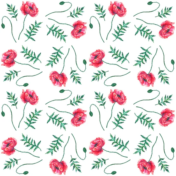붉은 양귀비 꽃이 피는 바 다 없는 무늬. 워터 컬러 페이버. 녹색 줄기와 잎. 손으로 그린 식물학적 삽화. 흰색으로. 인쇄, 직물, 직물, 벽지등을 위한 직물. — 스톡 사진