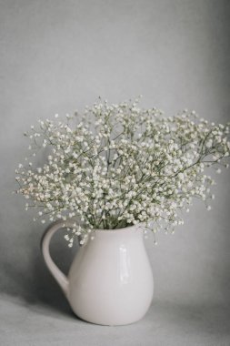 Beyaz ve gri arkaplanda beyaz vazodaki beyaz çiçekler 